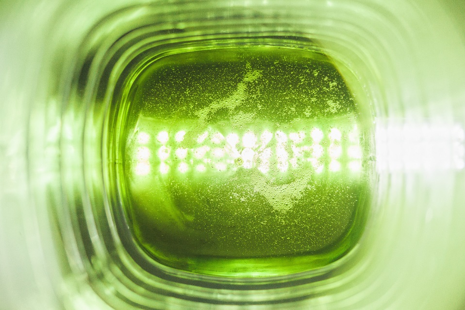 cvtf масло вариатора cvtf масло вариатора